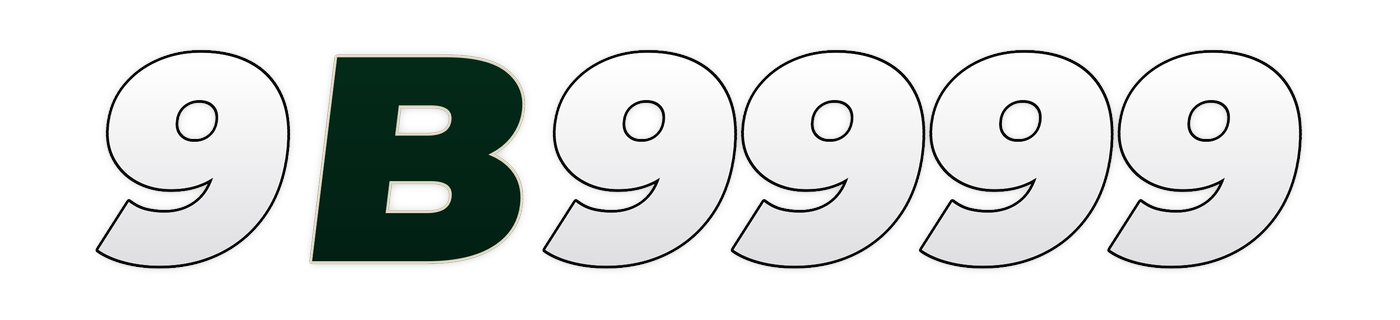 9b9999